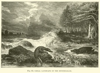 Ideal Landscape of the Muschelkalk